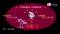 Pink Panther: Pinkadelic Pursuit (psp) (rus) (NoRG) (SLES-03932)