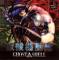 Ghost in the Shell (rus-eng) (Русские Версии) (SCPS-10043)