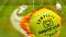 Davis Cup Complete Tennis eboot icon